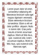 Colorado Text Rectangle Wine Favor Tag 1.875x2.75
